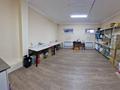 Свободное назначение, склады, общепит, медцентры и аптеки · 230 м² за 1 млн ₸ в Астане, Алматы р-н — фото 6
