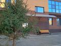 2-бөлмелі пәтер · 40.5 м² · 2/9 қабат, Островского 33 — Сейфулина/Ашимова, бағасы: 21 млн ₸ в Кокшетау — фото 23