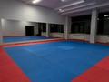Фитнес және спорт · 300 м², бағасы: 100 000 ₸ в Алматы, Турксибский р-н — фото 3