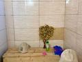 Отдельный дом · 5 комнат · 141.5 м² · 16.5 сот., Талапкер 3419 — Маншук маметова/ 33 за 48 млн ₸ в Астане, Сарыарка р-н — фото 13