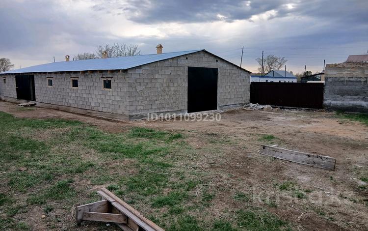 Свободное назначение, склады, сельское хозяйство · 200 м² за 130 000 ₸ в Доскее — фото 12