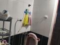 Отдельный дом · 4 комнаты · 78.5 м² · 6 сот., Орманды 00 — Каржаубайулы за 25 млн ₸ в Семее, Красный Кордон — фото 8