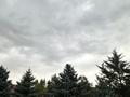 Жеке үй · 14 бөлме · 400 м² · 12.5 жүзд., Школьная 93 — Центральная, бағасы: 90 млн ₸ в Байтереке (Новоалексеевке) — фото 6