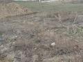 Участок · 6 соток, Рысқұлов / бакад 7194/154 за ~ 5 млн ₸ в Кемертогане
