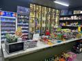 Магазин продуктовы · 80 м², бағасы: 21 млн ₸ в Умирзаке — фото 7