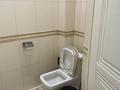Отдельный дом · 4 комнаты · 268.5 м² · 8 сот., мкр Жайлау , Кокжайлау 18б за 90 млн ₸ в Шымкенте, Абайский р-н — фото 13