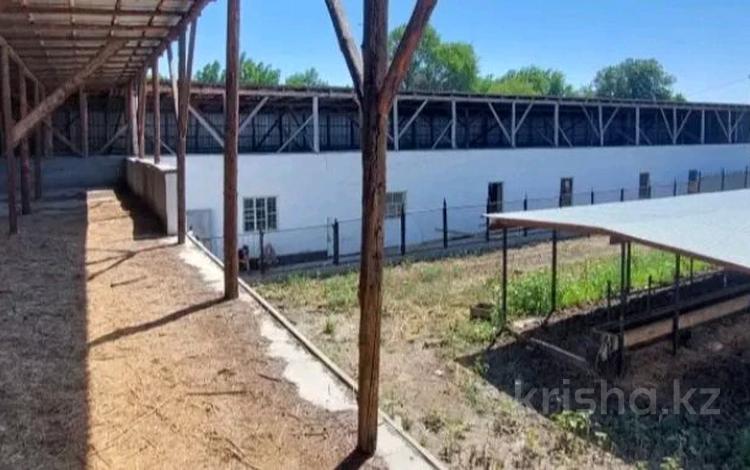 Крестьянское хозяйство · 2000 м², бағасы: 350 млн ₸ в Талдыкоргане — фото 2