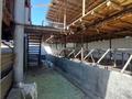 Крестьянское хозяйство · 2000 м², бағасы: 350 млн ₸ в Талдыкоргане — фото 3
