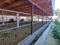 Крестьянское хозяйство · 2000 м², бағасы: 350 млн ₸ в Талдыкоргане — фото 5