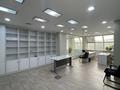 Офисы · 217 м² за ~ 2.2 млн ₸ в Алматы, Бостандыкский р-н — фото 5