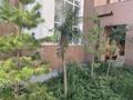 2-комнатная квартира · 57.5 м² · 3/9 этаж, Мухамедханова 28 — ГОРЯЧКААА!!! за 30 млн ₸ в Астане, Нура р-н — фото 3