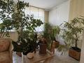 5-бөлмелі пәтер · 230 м² · 1/2 қабат, Достык 507, бағасы: 560 млн ₸ в Алматы, Медеуский р-н — фото 4