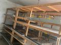 Отдельный дом · 5 комнат · 85.6 м² · 20 сот., Арна 59 — Село Гродеково за 30 млн ₸ в Таразе — фото 22