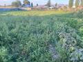 Отдельный дом · 5 комнат · 85.6 м² · 20 сот., Арна 59 — Село Гродеково за 30 млн ₸ в Таразе — фото 32