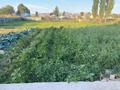 Отдельный дом · 5 комнат · 85.6 м² · 20 сот., Арна 59 — Село Гродеково за 30 млн ₸ в Таразе — фото 34