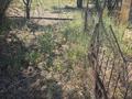 Участок · 6 соток, п. Арман, Арман ауылы за 5 млн ₸ в Алатау — фото 6