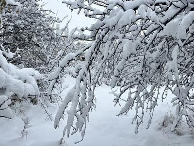 Участок · 14 соток, мкр Нурлытау (Энергетик) — Дулати поворот направо от АЗС за 140 млн 〒 в Алматы, Бостандыкский р-н