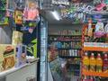 Магазины и бутики • 100 м² за 68 млн 〒 в Алматы, Турксибский р-н — фото 2