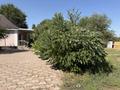 Жеке үй · 4 бөлме · 120 м² · 14 жүзд., Шаңырақ-1 ш/а., бағасы: 145 млн ₸ в Алматы, Алатауский р-н — фото 6