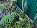 Саяжай · 2 бөлме · 45 м² · 6 сот., мкр Фёдоровка 30 — ПК Садоводов - Весна, бағасы: 20 млн ₸ в Караганде, Казыбек би р-н — фото 20
