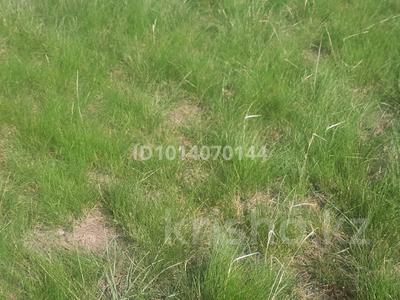 Участок · 1600 га, Актогай, Шабанбай би за 7 млн ₸ в Карагандинской обл.