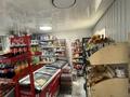 Отдельный дом · 3 комнаты · 142.2 м² · 6.49 сот., Курманова 15 — Мечеть за 55 млн ₸ в  — фото 29