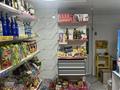 Отдельный дом · 3 комнаты · 142.2 м² · 6.49 сот., Курманова 15 — Мечеть за 55 млн ₸ в  — фото 39