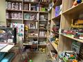 Готовый бизнес — продуктовый магазин · 120 м² за 30 млн ₸ в Астане, Есильский р-н — фото 8