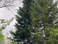 Участок · 10 соток, Ульбинка-2 за 4.5 млн ₸ в  — фото 3