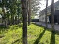 Свободное назначение · 1000 м² за 2.4 млн ₸ в Павлодаре — фото 31