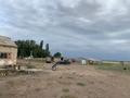 КХ сельское хозяйство · 36000 м² за 45 млн ₸ в Шенгельды — фото 7