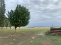 КХ сельское хозяйство · 36000 м² за 45 млн ₸ в Шенгельды — фото 8
