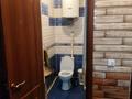 Отдельный дом · 4 комнаты · 140 м² · 10 сот., Бакчебаева 8 за 28 млн ₸ в Семее, Красный Кордон — фото 5