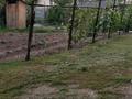 Дача · 5 комнат · 100 м² · 10 сот., улица Западная 120 — Есикский поворот со стороны Кульджинский трассы за 22.5 млн ₸ в Болеке — фото 29