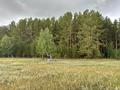 Отдельный дом · 3 комнаты · 130 м² · 25 сот., Богенбай батыра 21 за 12 млн ₸ в Алтынды — фото 2