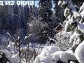 Саяжай · 5 бөлме · 87 м² · 9 сот., Тарханка, бағасы: ~ 15 млн ₸ в Усть-Каменогорске — фото 4