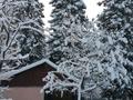 Дача · 5 комнат · 87 м² · 9 сот., Тарханка за ~ 15 млн ₸ в Усть-Каменогорске — фото 30