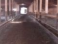 Жер телімі · 55 га, Дегерес, бағасы: 150 млн ₸ — фото 14