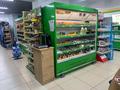 Магазины и бутики • 652 м² за 310 млн 〒 в Павлодаре — фото 7