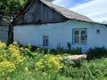 Отдельный дом · 2 комнаты · 25.9 м² · 10 сот., Балпыка-би 23 — Центральная улица за 2.8 млн ₸ в Алтынемель — фото 12