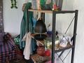 Отдельный дом · 2 комнаты · 25.9 м² · 10 сот., Балпыка-би 23 — Центральная улица за 2.8 млн ₸ в Алтынемель — фото 31