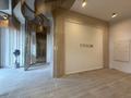 9-комнатная квартира · 433 м² · 8/8 этаж, Тасшокы, 4​ 4 за 660 млн ₸ в Астане, Алматы р-н — фото 3