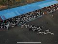 Жер телімі · 305 га, Мечеть, бағасы: 450 млн ₸ в Междуреченске — фото 17