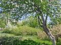 Үйдің бір бөлігі · 3 бөлме · 70 м² · 10 сот., Сарыарка 19 кв 1, бағасы: 10 млн ₸ в Курминском — фото 6