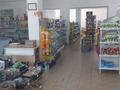 Магазины и бутики · 530 м² за 60 млн ₸ в Кулане — фото 31