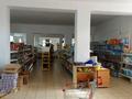 Магазины и бутики · 530 м² за 60 млн ₸ в Кулане — фото 3