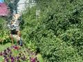 Жеке үй · 4 бөлме · 100 м² · 5 сот., Аграномическая, согра 28 — Заправка Гелиос, бағасы: 15 млн ₸ в Усть-Каменогорске, Ульбинский — фото 27