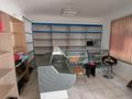 Магазины и бутики · 31 м² за 12.3 млн ₸ в Шымкенте — фото 9