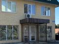 Еркін, медорталықтар мен дәріханалар · 170 м², бағасы: 40 млн ₸ в 