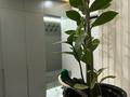 1-комнатная квартира · 50 м² · 5/16 этаж, К. Толеметова 85 — Дендропарк. Зоопарк. Толеметова бойы за 2 000 ₸ в Шымкенте, Каратауский р-н — фото 26